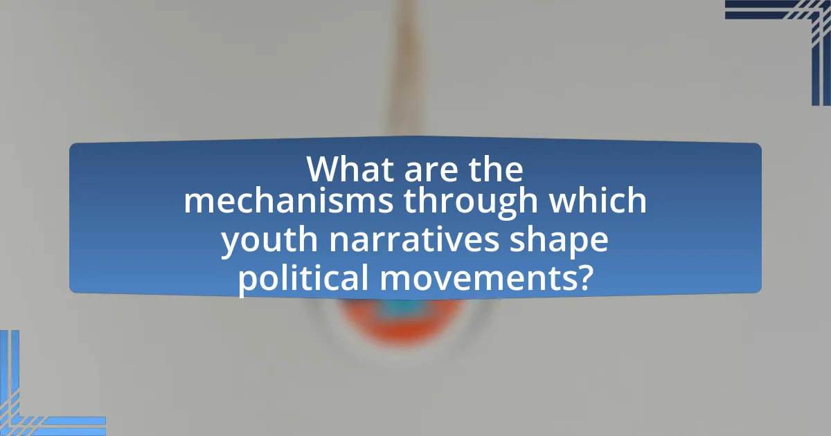 What are the mechanisms through which youth narratives shape political movements?