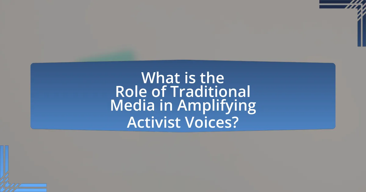 What is the Role of Traditional Media in Amplifying Activist Voices?
